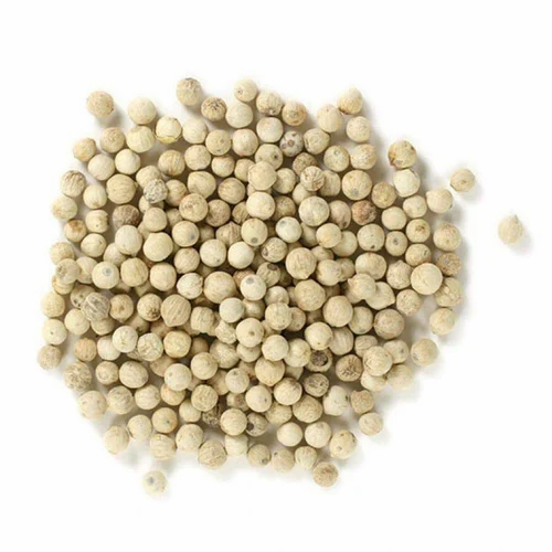 Common White Pepper